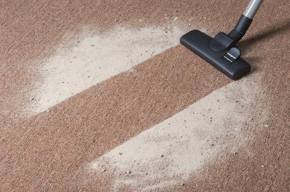 augusta-GA 30907 carpet-cleaning-professionnal-powder-pet-odor-removal