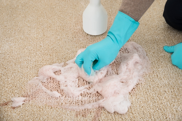 augusta-GA 30907 carpet-cleaning-stain-removal-rug